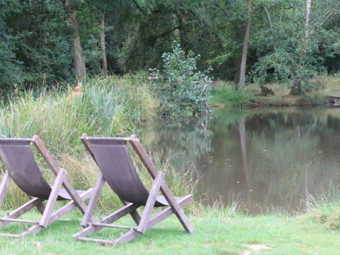 Twee lege strandstoelen bij een vijver omringd door bomen op BoerenBed Sunninglye Farm, Oost-Engeland, VK.