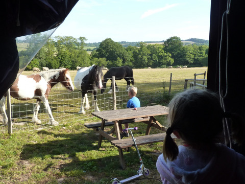 Twee kinderen kijken naar paarden achter een draadomheining bij een picknicktafel op Sunninglye Farm, Engeland.