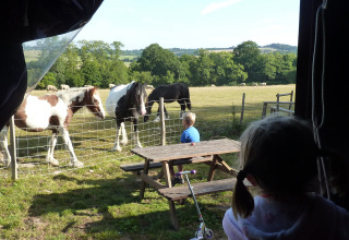 Dos niños observan caballos tras una valla junto a una mesa en el parque vacacional Sunninglye Farm, Inglaterra.