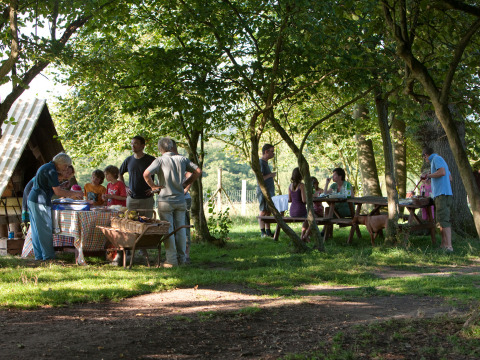 Gezinnen genieten van een picknick onder bomen bij BoerenBed Sunninglye Farm vakantiepark in Engeland.