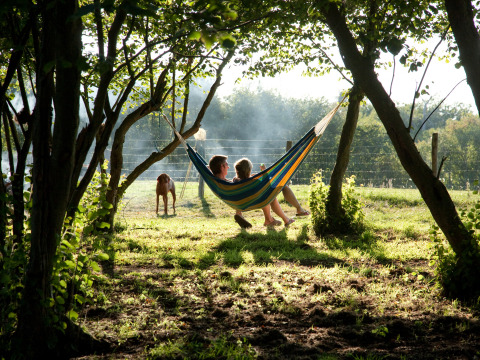 Two people relaxing in a colorful hammock among trees, with a dog walking in the background on a sunny day.