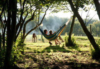 Two people relaxing in a colorful hammock among trees, with a dog walking in the background on a sunny day.