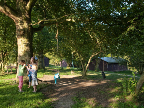 Kinderen spelen bij schommels aan bomen en tenten in BoerenBed Sunninglye Farm, Oost-Engeland.