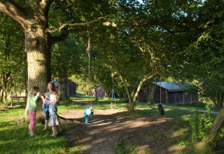 Kinderen spelen bij schommels aan bomen en tenten in BoerenBed Sunninglye Farm, Oost-Engeland.