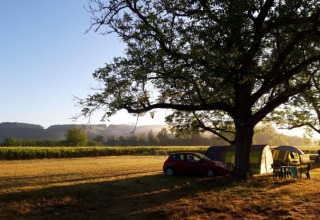 Camping under a tree with a car, tents, and table at sunrise at Camping Le Céou, Nouvelle-Aquitaine, France.