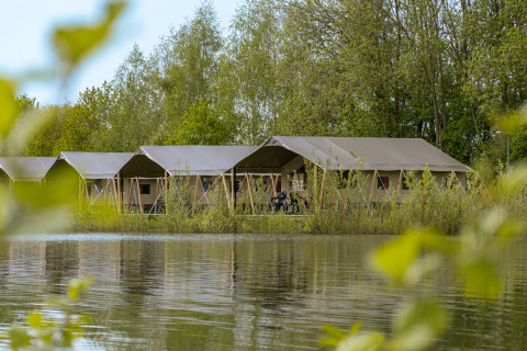 Safari-Zelte am Seeufer, umgeben von grünen Bäumen, auf dem Campingplatz De Betteld in den Niederlanden.