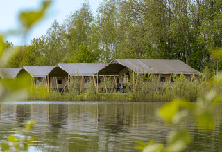 Tende safari sul lago circondate da alberi verdi, campeggio De Betteld nei Paesi Bassi, immersione nella natura.