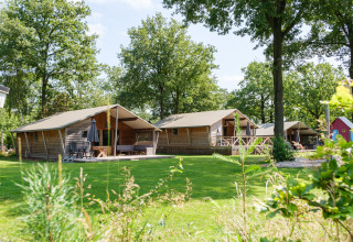 Luksuriøse Rheezerlodge DeLuxe lav hytter på Kampeerdorp de Zandstuve, omgivet af grønne træer og græs.