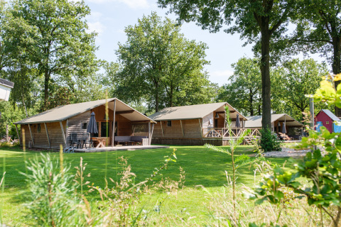 Rheezerlodge DeLuxe low en Kampeerdorp de Zandstuve, Países Bajos, rodeado de césped y naturaleza.