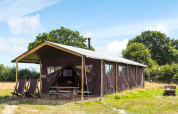 Safari tent on an open field with deck chairs outside, picnic table, surrounded by trees and blue skies.