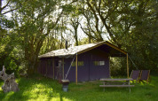 Tenda safari immersa tra alberi, con panchina da picnic e sedie su prato verde alla luce del sole.