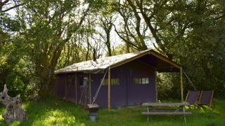 Tenda safari immersa tra alberi, con panchina da picnic e sedie su prato verde alla luce del sole.
