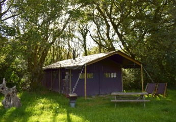 Tienda de safari situada en un claro del bosque, con banco de picnic y sillas sobre césped verde.
