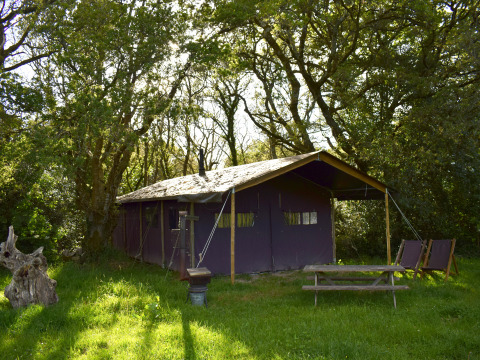 Tenda safari immersa tra alberi, con panchina da picnic e sedie su prato verde alla luce del sole.