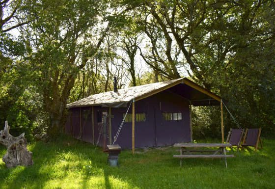 A safari tent stands in a wooded clearing, with picnic bench and deck chairs beneath tall green trees.