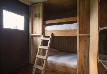 Wooden bunk beds with a ladder in a safari tent, rustic decor, sunlight entering through a window.