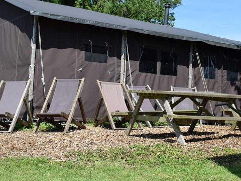 Udendørs siddepladser med liggestole og picnicbord foran et safaritelthus med privat bruser på gården.