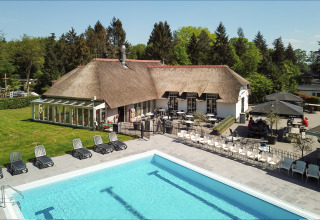Outdoor pool with lounge chairs in front of a thatched-roof glamping lodge and terrace, surrounded by trees.