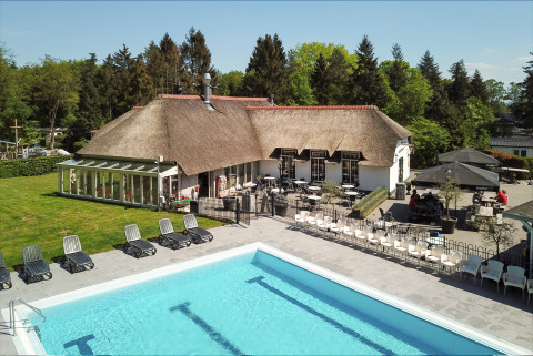 Piscine extérieure avec chaises longues devant un hébergement glamping au toit de chaume et terrasse, entouré d'arbres.