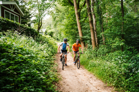 Deux personnes font du vélo sur un sentier forestier près d’hébergements glamping entourés de verdure.