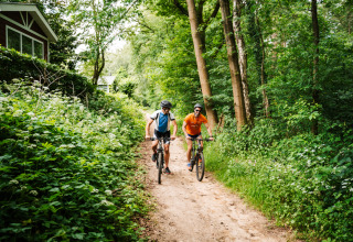 Due persone in bicicletta su un sentiero nel bosco accanto a tende glamping tra alberi e cespugli verdi.