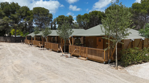 Række af safaritelte ved Vilanova Park Campingplads i Spanien, omgivet af træer og klar blå himmel.