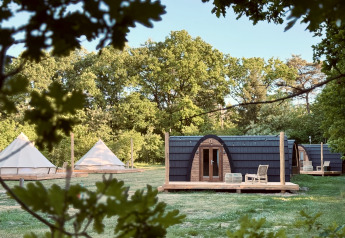 Moderne Glamping-Hütte und Zelte auf einer Wiese, umgeben von dichten grünen Bäumen und Natur.