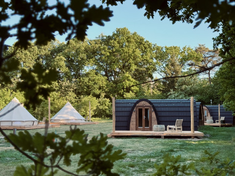Et fredeligt naturområde med moderne hyttekabine og glampingtelte blandt frodige grønne træer.