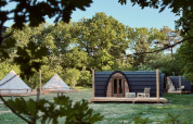 A cozy modern cabin and canvas tents in a tranquil forest setting, surrounded by lush green trees.
