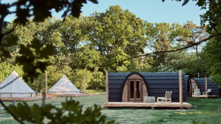 Cabaña moderna y tiendas de campaña en un entorno forestal tranquilo rodeado de árboles verdes.