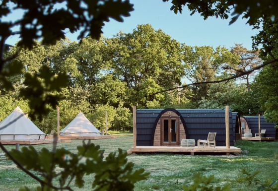 Et fredeligt naturområde med moderne hyttekabine og glampingtelte blandt frodige grønne træer.