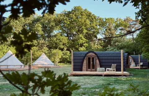 Træhytter og telte på græsplæne omgivet af træer, fotograferet ved Cabin at Thuysgrond i Holland.