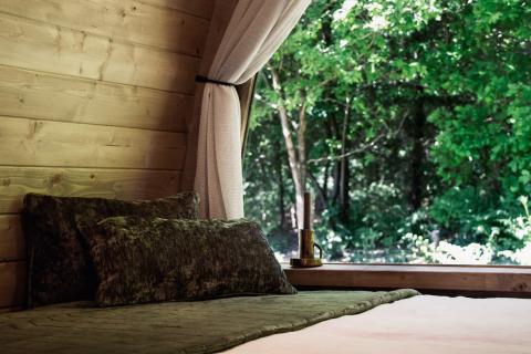 Letto accogliente in una cabina di legno con finestra aperta e vista sulla foresta, Cabin at Thuysgrond, Paesi Bassi.