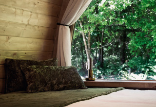 Letto accogliente in una cabina di legno con finestra aperta e vista sulla foresta, Cabin at Thuysgrond, Paesi Bassi.