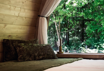 Gemütliches Bett in einer Holzhütte mit offenem Fenster und Blick auf den Wald im Thuysgrond, Niederlande.