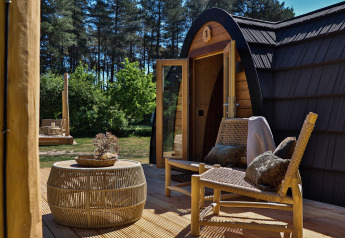 Terrasse der Cabin at Thuysgrond in den Niederlanden mit geflochtenen Stühlen und Tisch, umgeben von Wald.