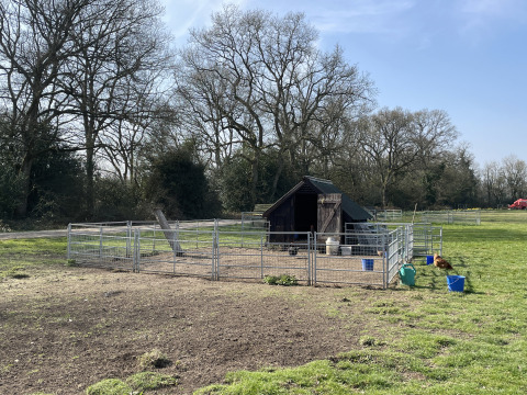 Photo of a chicken coop and enclosure at Feather Down Foxglove Farm holiday park in Southeast England, UK.