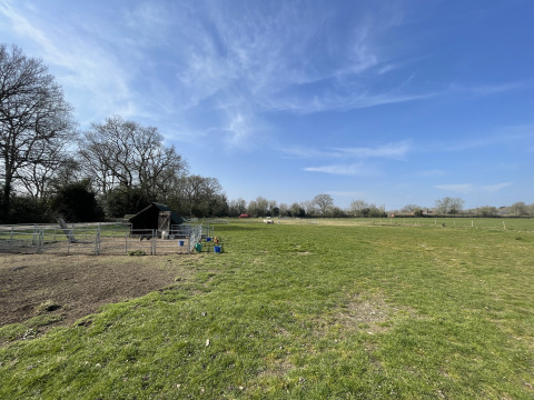 Sunny view of Feather Down Foxglove Farm holiday park in South East England with grassy fields and trees.