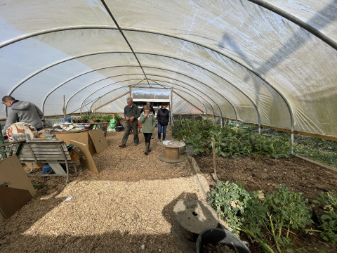 People walking inside a greenhouse at Feather Down Foxglove Farm holiday park in South East England, UK.