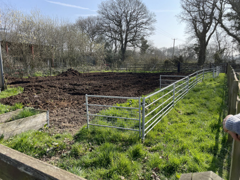 Campo recintato a Feather Down Foxglove Farm, villaggio turistico nel sud-est dell’Inghilterra, giornata di sole.