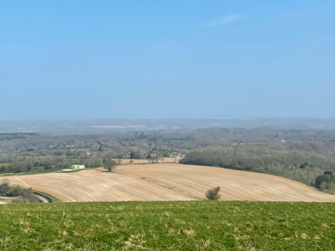 Vista di campi e boschi presso Feather Down Foxglove Farm, villaggio turistico nel sud-est dell'Inghilterra, Regno Unito.