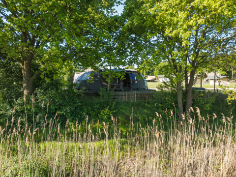 Lille hus ved Holiday Park Mölke i Nederlandene, omgivet af træer og grønne omgivelser om sommeren.
