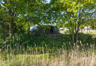 Lille hus ved Holiday Park Mölke i Nederlandene, omgivet af træer og grønne omgivelser om sommeren.