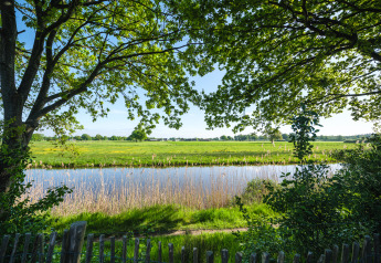 Udsigt fra et lille hus ved floden på Holiday Park Mölke, Nederlandene, med træer og grøn eng.