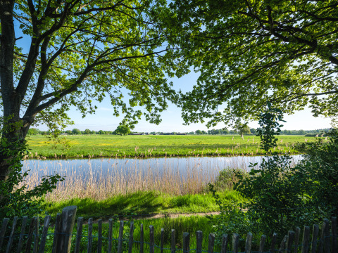 View from a tiny house by the river at Holiday Park Mölke, Netherlands, with trees and green meadow.