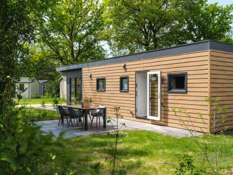 Tiny Cabin moderna con esterno in legno e patio al Holiday Park Mölke, Paesi Bassi, immersa nel verde.