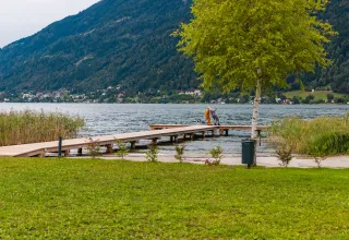 Vista del lago en Cottage Hot tub en Ossiacher See, Austria, con un muelle, árbol y montañas de fondo.