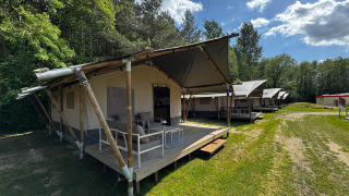 En række safari-telte med terrasser og siddepladser står på en grøn plads ved skovkanten under blå himmel.