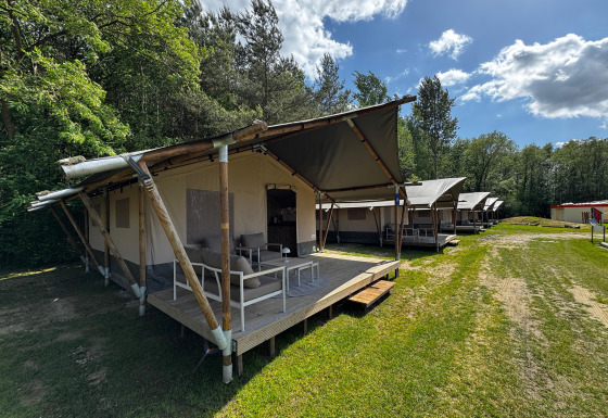 Des tentes safari avec terrasses en bois et salons sont alignées sur une clairière herbeuse près d'une forêt.