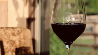 Et glas rødvin står på et bord med sollys på, nyder udsigten ved Thuysgrond feriepark i Nord-Brabant.